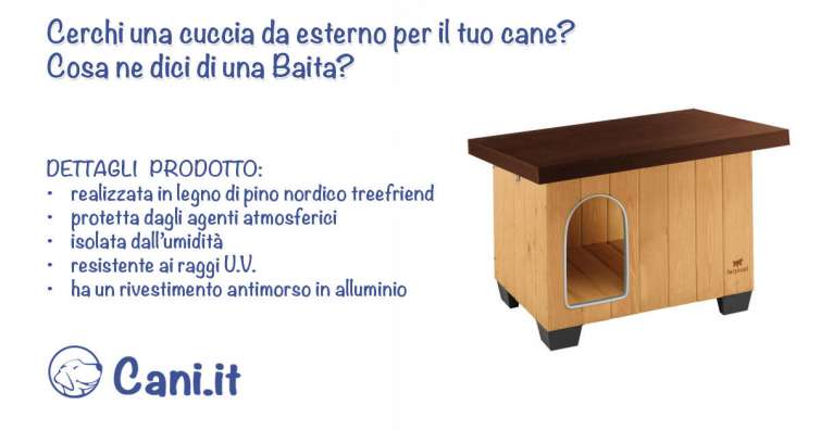 Cerchi una cuccia da esterno per il tuo cane? Cosa ne dici di una Baita?