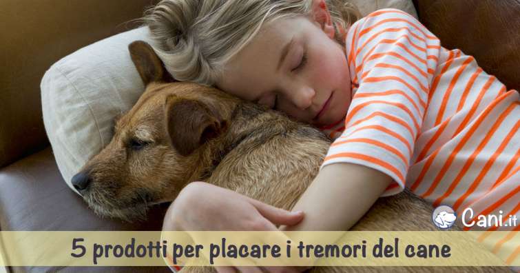 5 prodotti per placare i tremori del cane