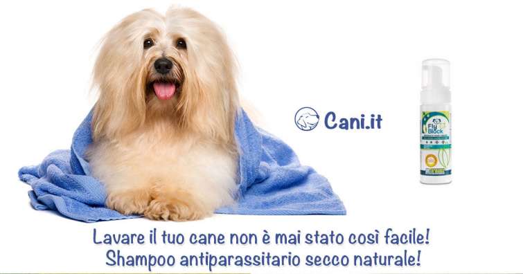 Shampoo antiparassitario secco naturale!
