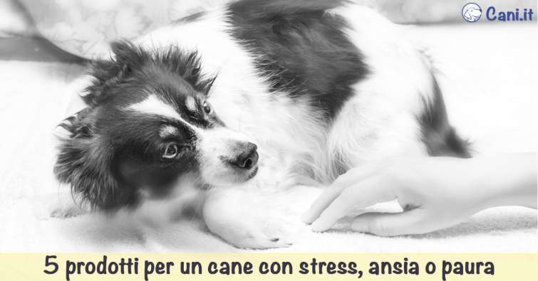 Cuscino Per Cani Calmante Antistress