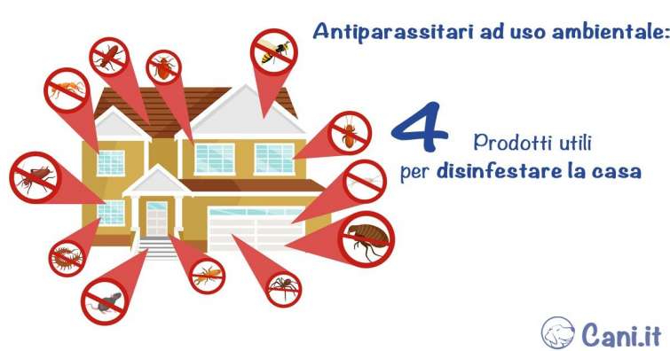 Antiparassitari ad uso ambientale: 4 prodotti utili per disinfestare la casa