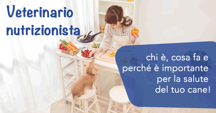 Veterinario nutrizionista: chi è, cosa fa e perché è importante per la salute del tuo cane!
