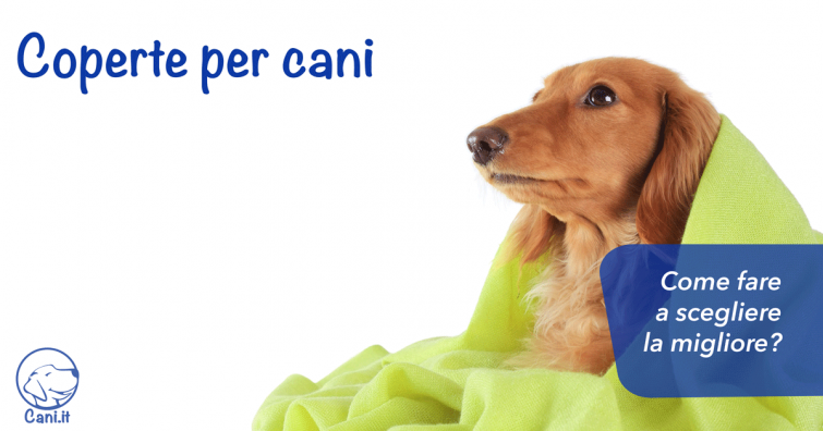 Coperte per cani: come fare a scegliere la migliore?