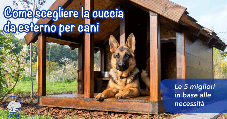 Come scegliere la cuccia da esterno per cani: le 5 migliori in base alle necessità