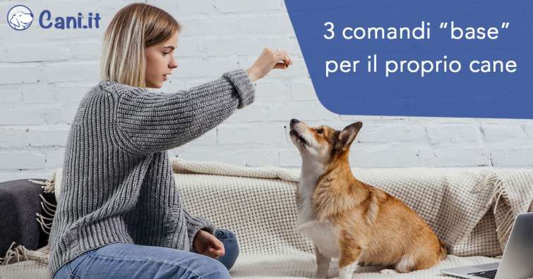 Come impartire 3 comandi “base” al proprio cane