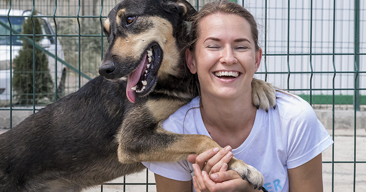 I benefici dell’adozione di un cane adulto