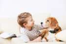 Beagle con bambini