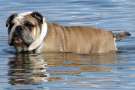 Sophia, bagno al lago