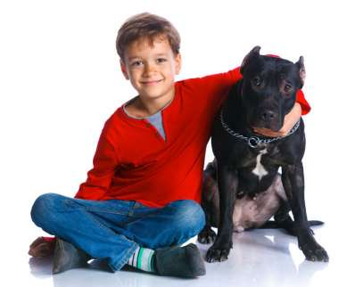 Bambino con pit bull