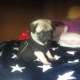Riki Fede