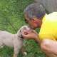 Old English Bulldog Italia  Emanuele Brancale 