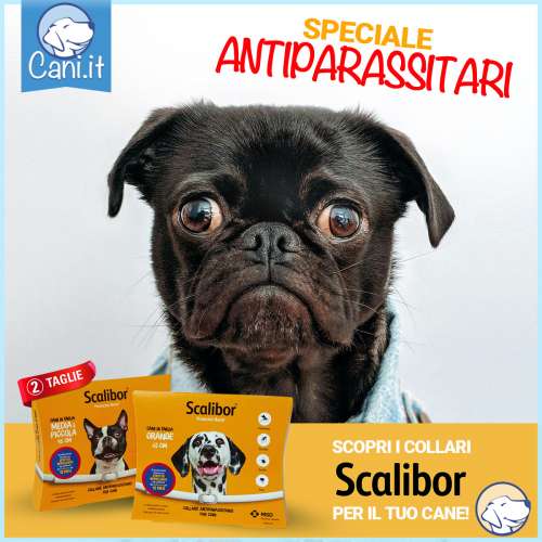 antiparassitari scalibor