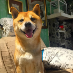 Walt (Takashi di Likidado)