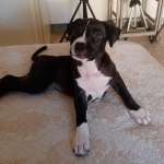 ATHENA