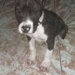 Xina 