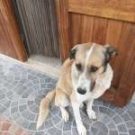 Jack