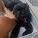 Minny