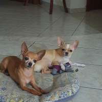 Ronnie e Chloe