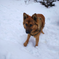 axel