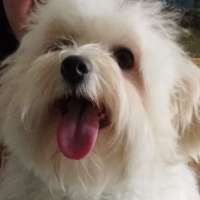 Shila