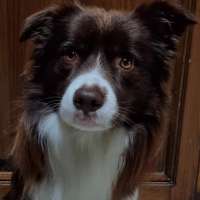 Sam