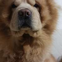 Harry