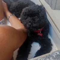 Minny