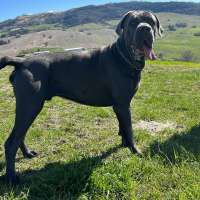 Ares