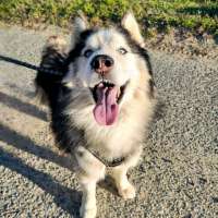 Axel