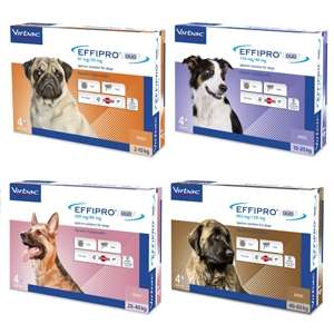 Effipro Duo Cane