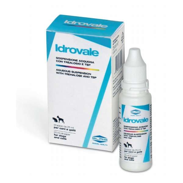 Idrovale