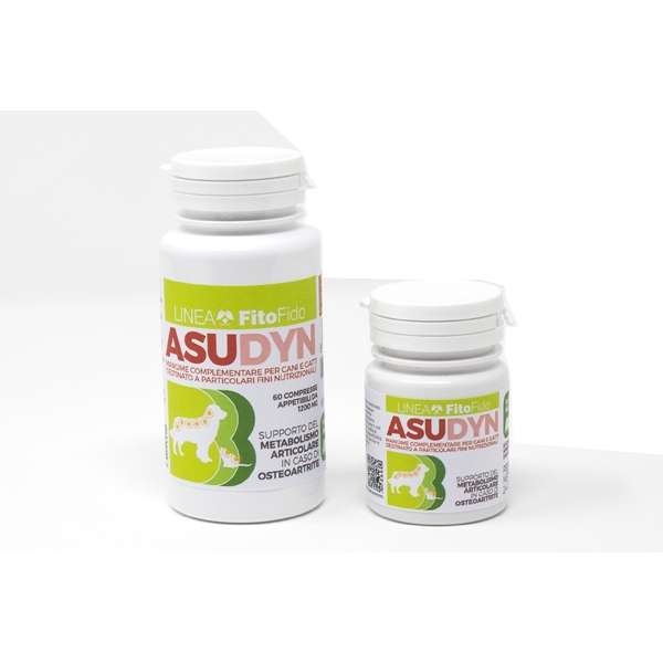 Asudyn