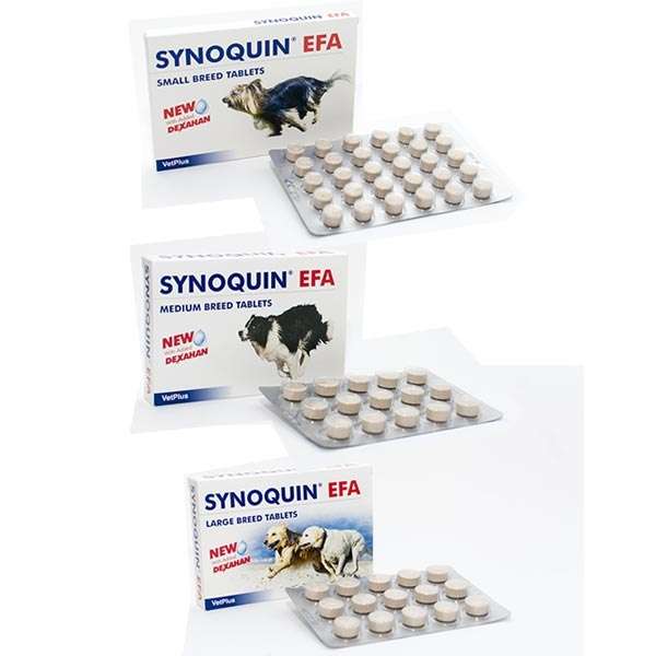 Synoquin EFA 