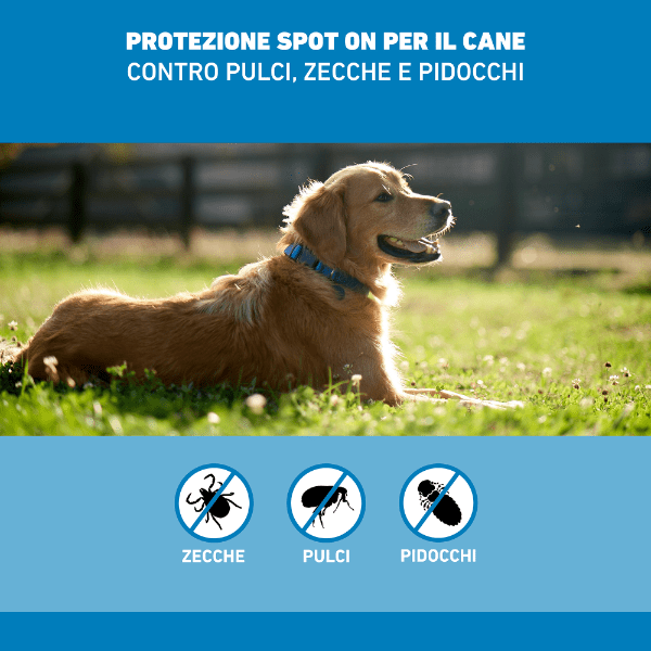 Frontline Spot On - Cani