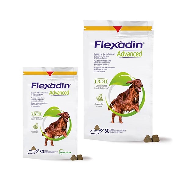 Flexadin Advanced