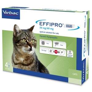Effipro Duo Gatto - 4 Pipette