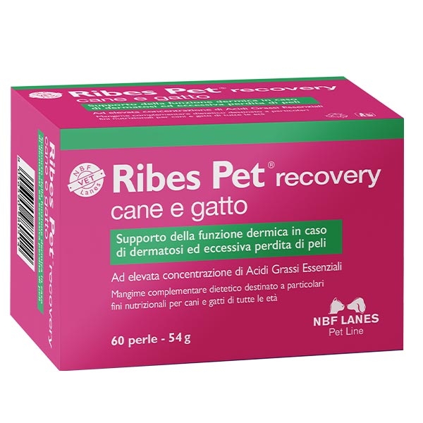 Ribes Pet Recovery