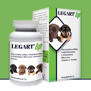 Legart Up