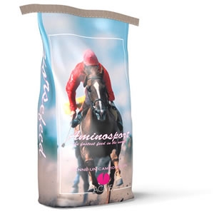 Aminosport