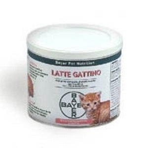 Primolatte Gattino