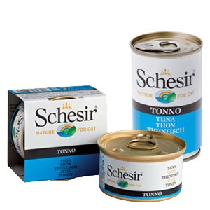 Tonnetto in Gelatina, gatto adulto