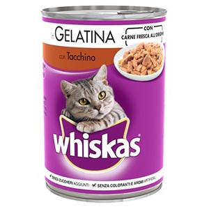Lattina in Gelatina con Tacchino