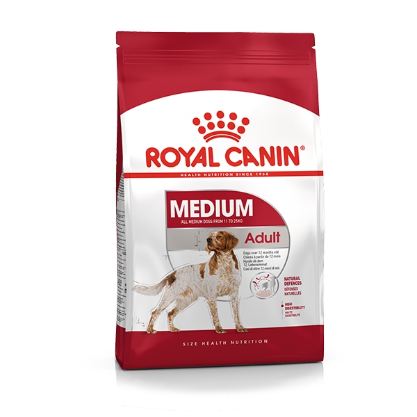 Medium Adult