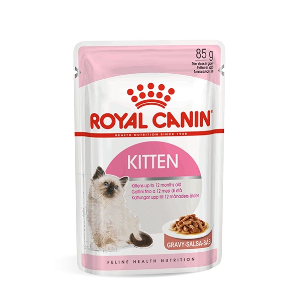 Kitten Instinctive in Salsa