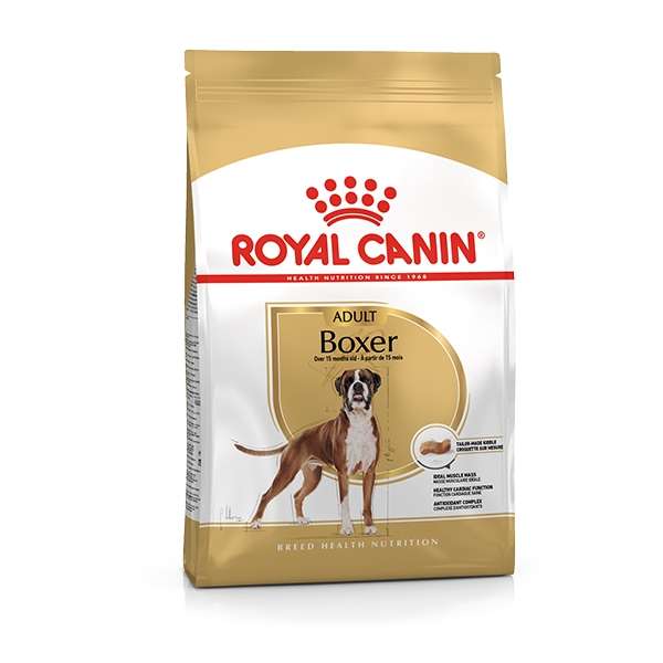 Boxer Adult