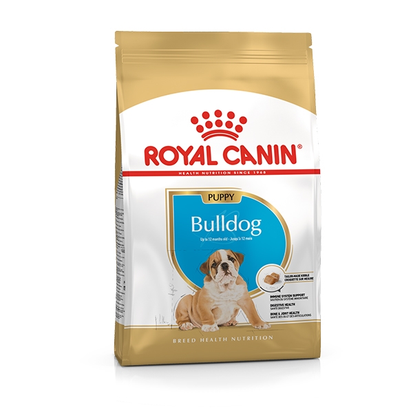 Bulldog Inglese Junior