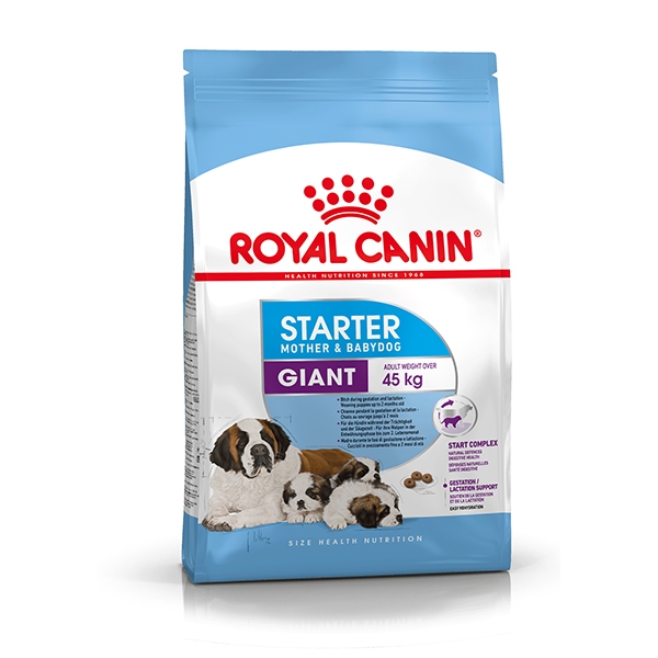 Giant Starter Mother & Baby Dog