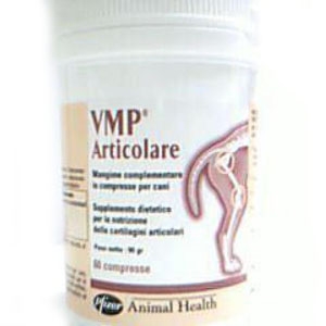 Vmp articolare