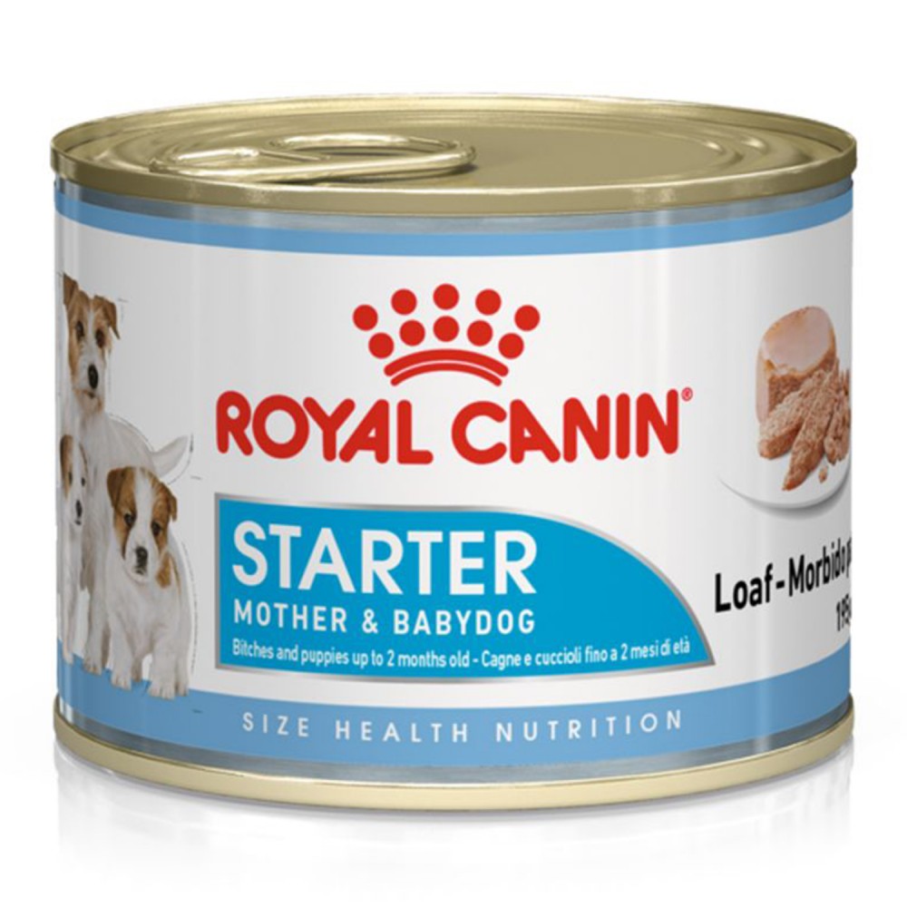 Starter Mousse