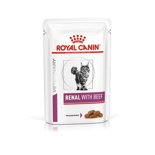 Veterinary Diet Renal con Manzo
